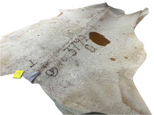 (#19) Cowhide