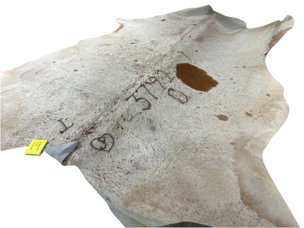 (#19) Cowhide