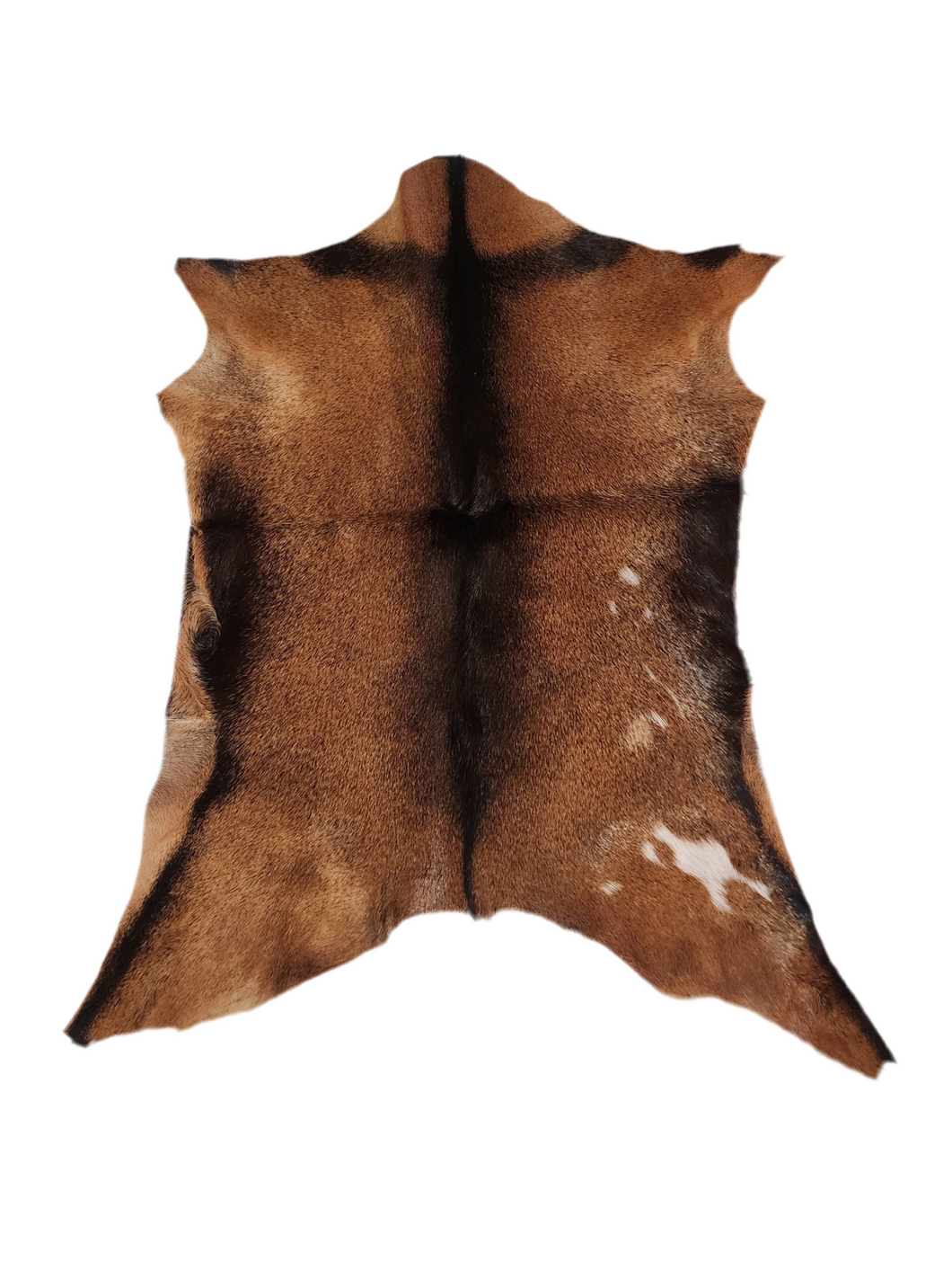 GT2501 Dark Goat Hide