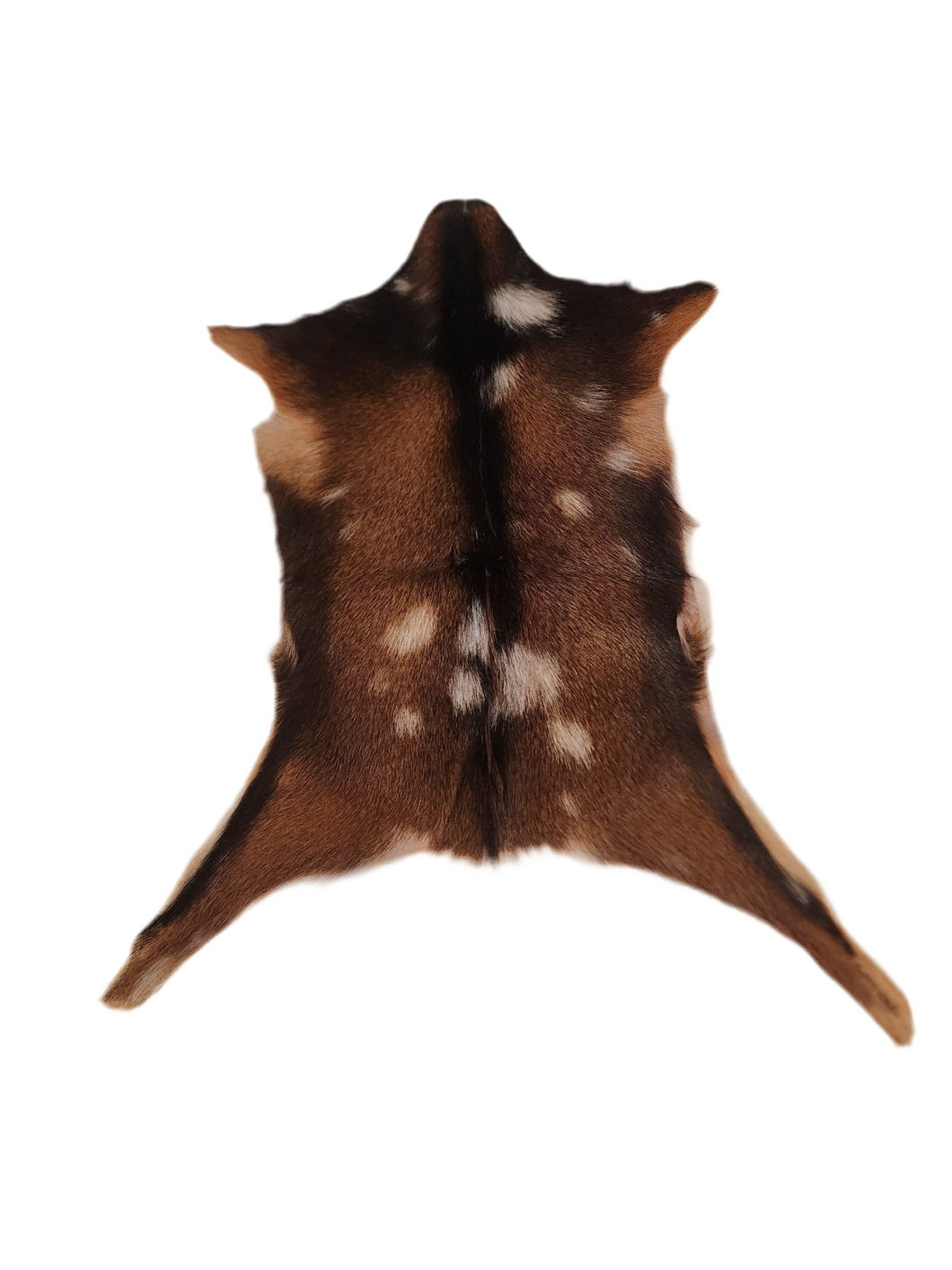 GT2503 Dark Goat Hide