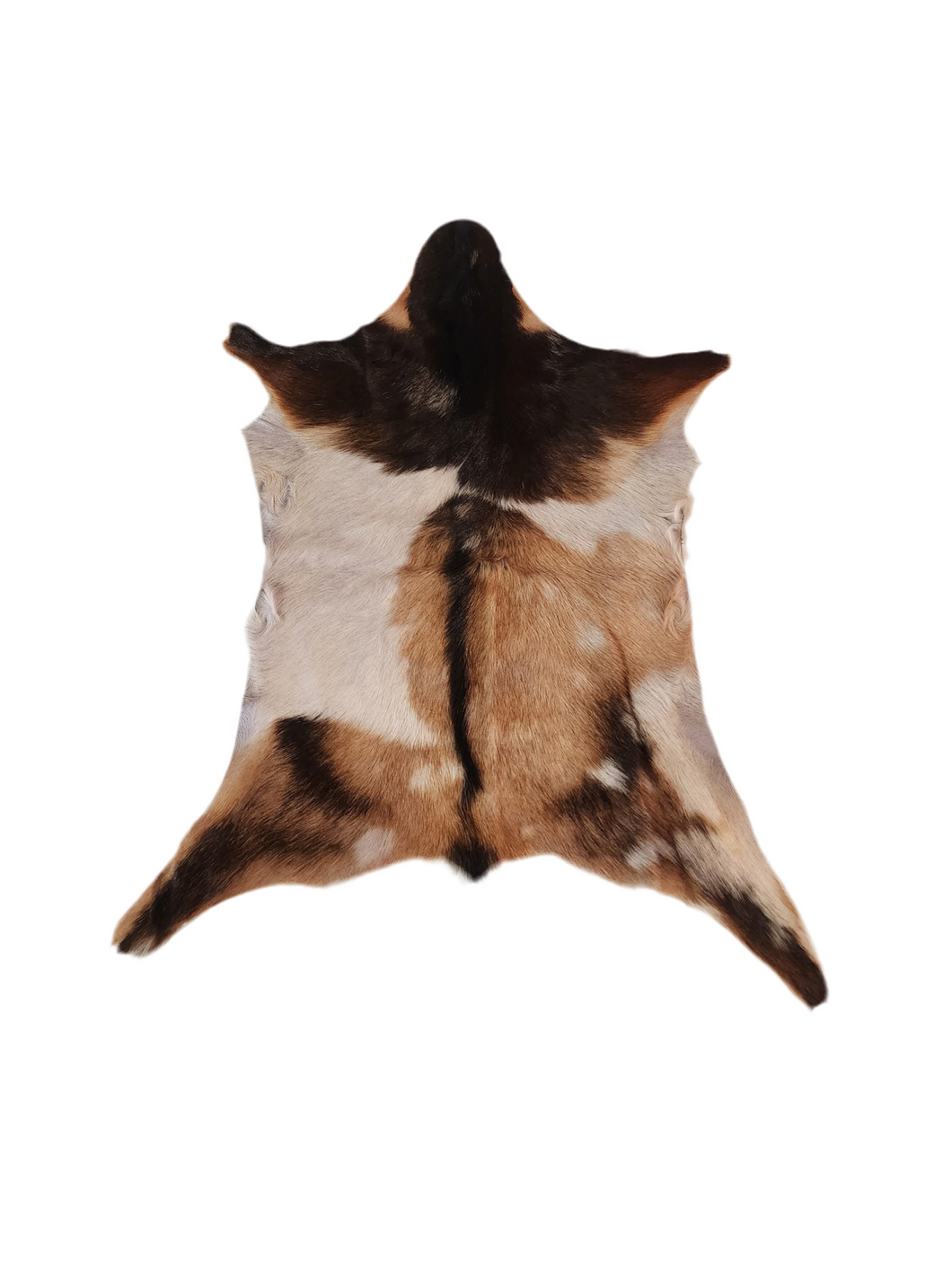 GT2504 Tricolor Goat Hide