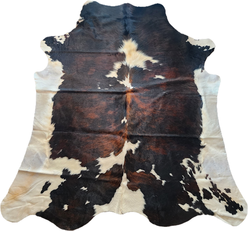 CHT2519 Tricolor Cowhides