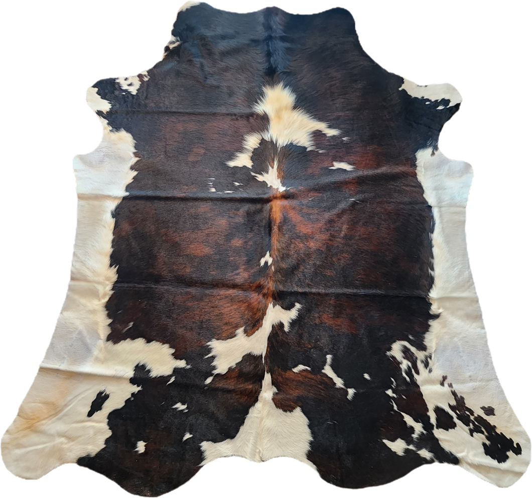 CHT2519 Tricolor Cowhides