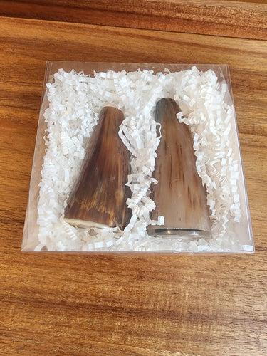 SPTH2504 Salt & Pepper Shakers